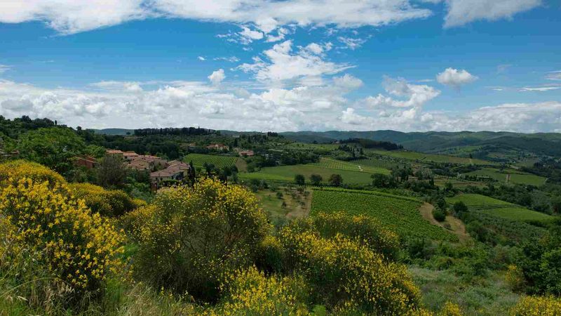 Toscana in Vendemmia 2026: Sette Cantine da Visitare a Settembre e Cosa Ordinare
