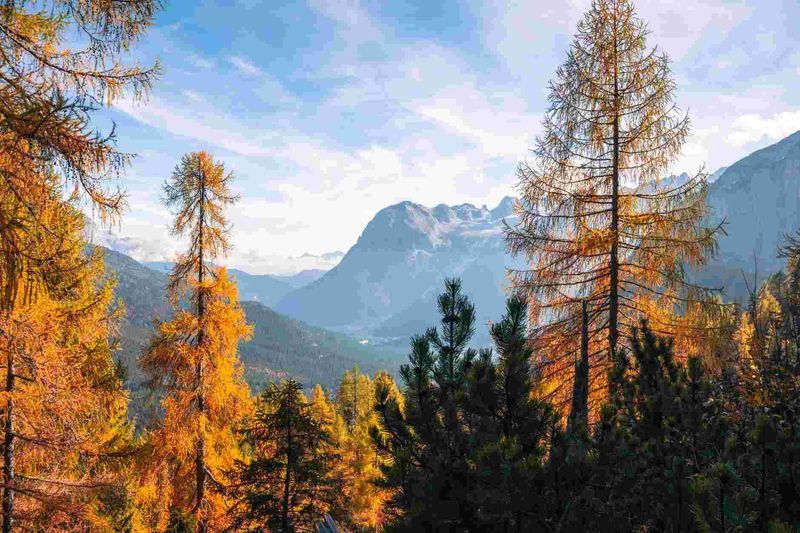 Dolomiti a Settembre: Cinque Escursioni con i Larici in Foglia e Dove Dormire